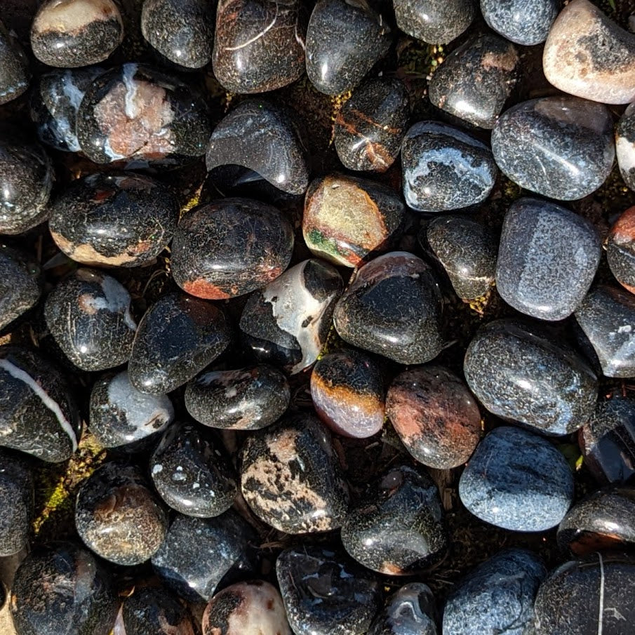 Brown Zebra Jasper Tumblestone