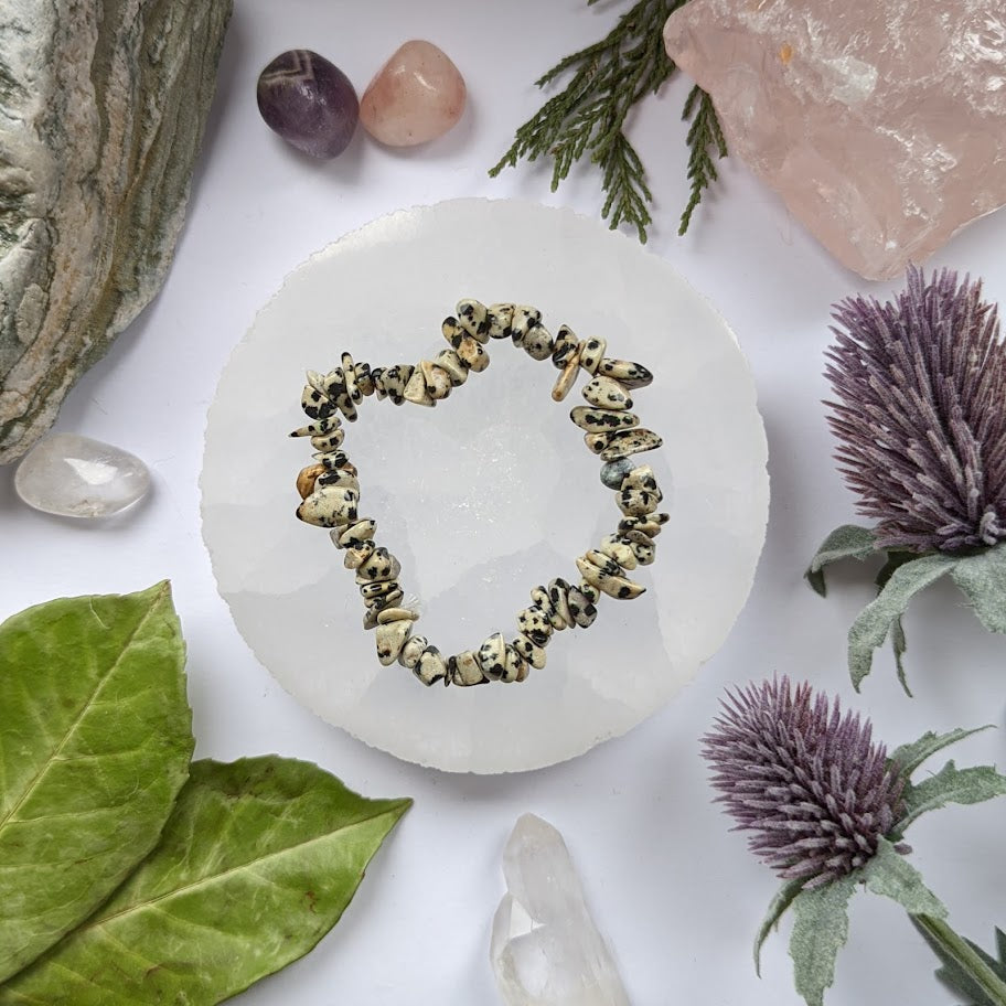 Dalmatian Jasper Crystal Chip Bracelet