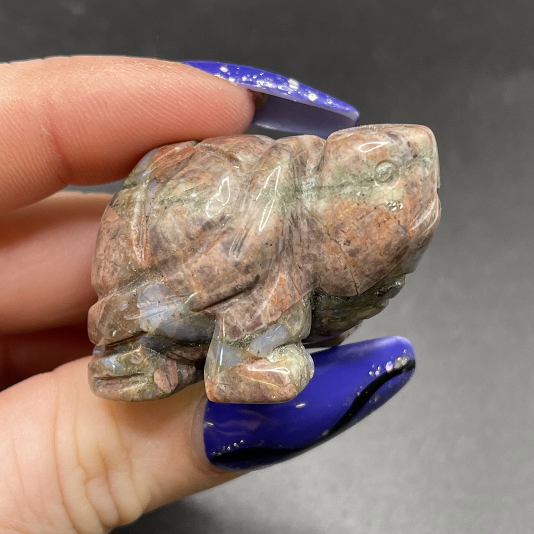 Llanite Tortoise