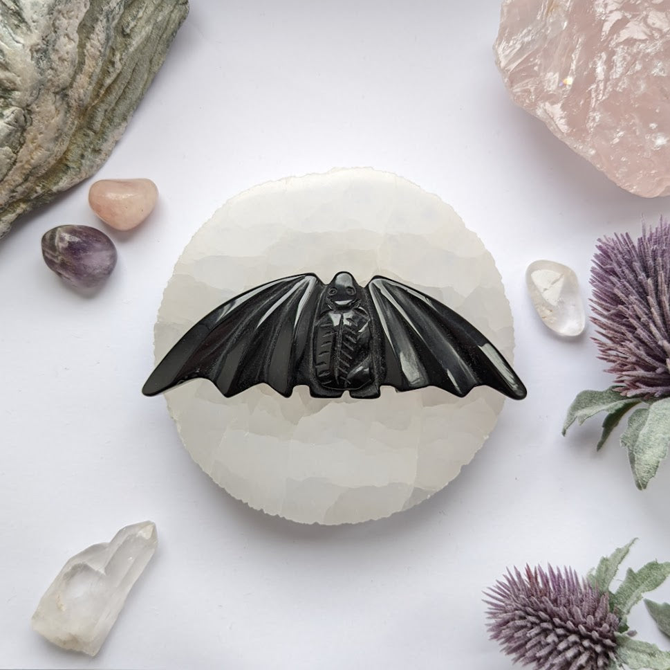 Large Obsidian Bat