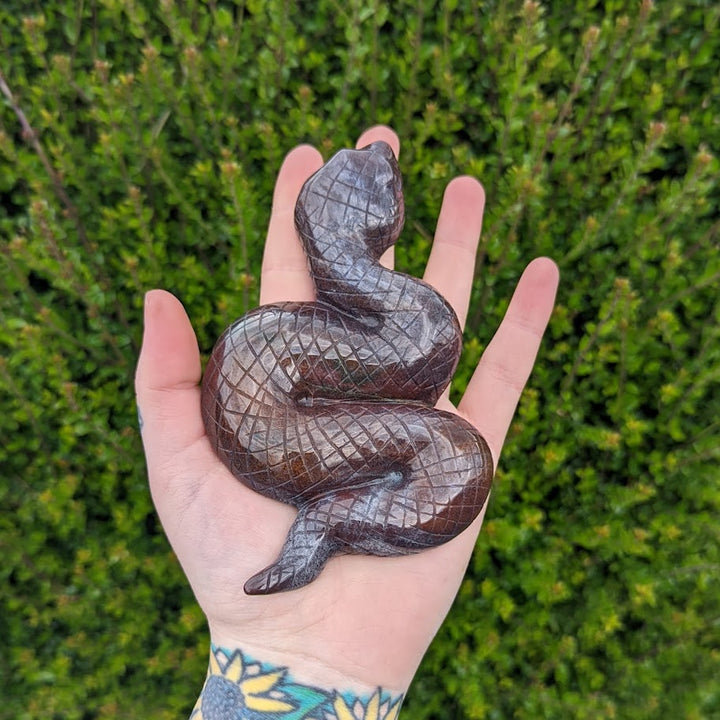 Ocean Jasper Snake