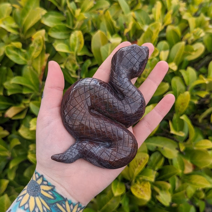 Ocean Jasper Snake